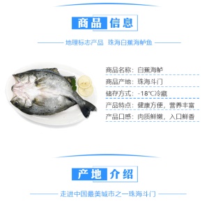 鲜城故事 三去白蕉海鲈鱼400克-500克珠海地标特产烧烤食材冷冻海鲜水产
