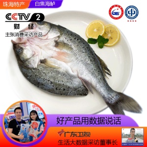 鲜城故事 三去白蕉海鲈鱼400克-500克珠海地标特产烧烤食材冷冻海鲜水产